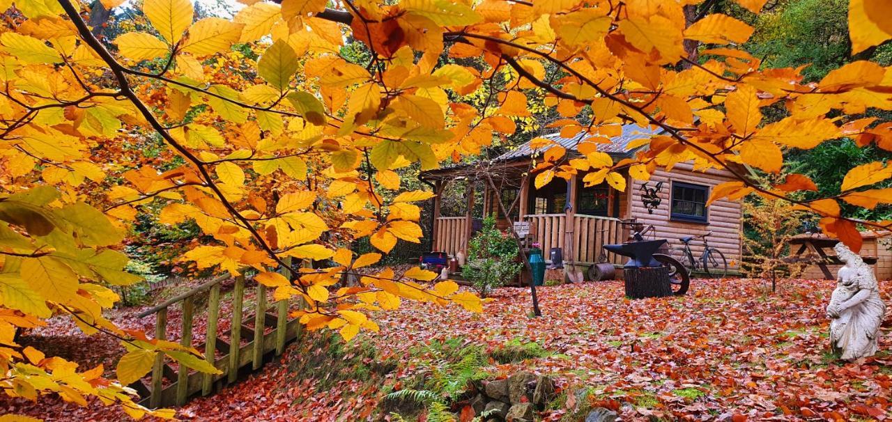 The Miners Log Cabin Blaina 外观 照片